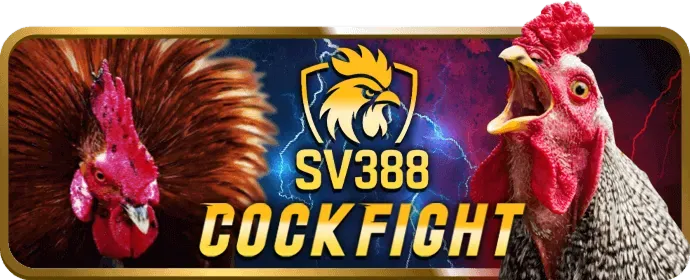 Hình ảnh minh họa chiến lược chơi slot